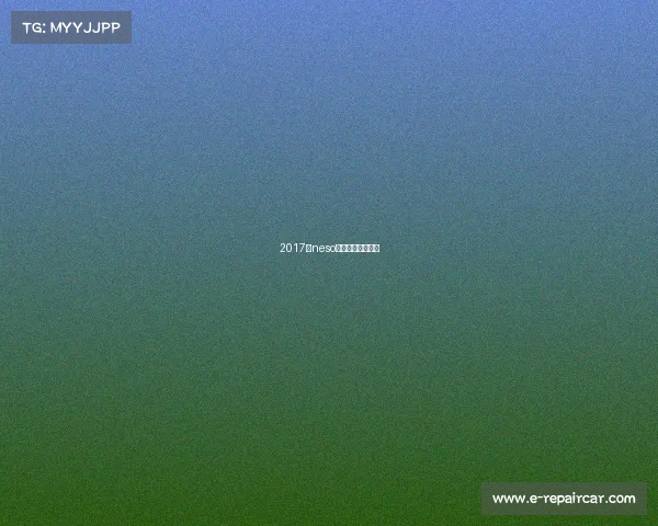 2017年neso全国电子竞技大赛 2017年neso全国电子竞技大赛