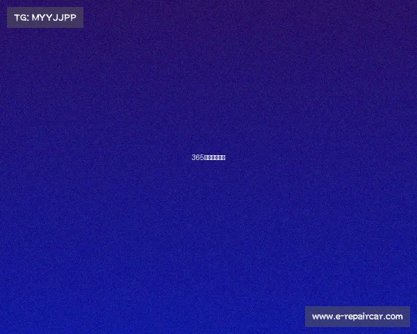 365电子竞技官网