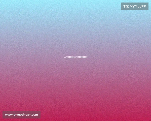 wcs电子竞技;wes电子竞技锦标赛