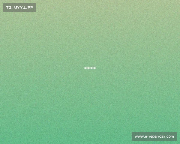 卡米尔是什么位置