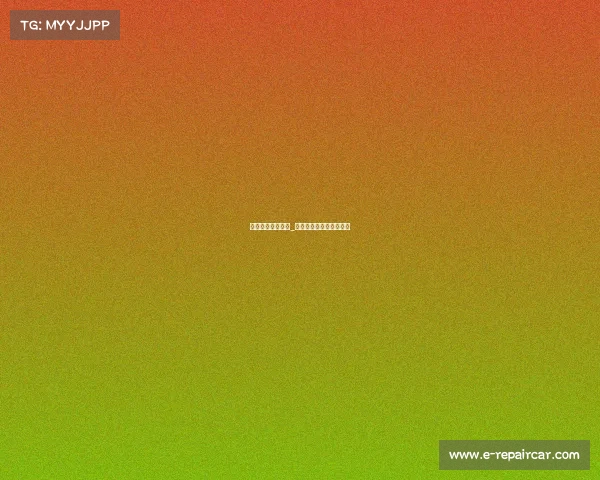 法国电子竞技作品_法国电子竞技作品有哪些